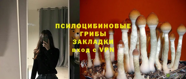 2c-b Балабаново